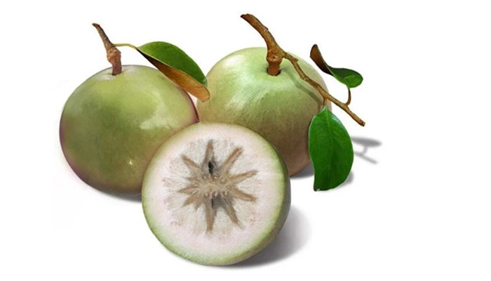 quả vú sữa