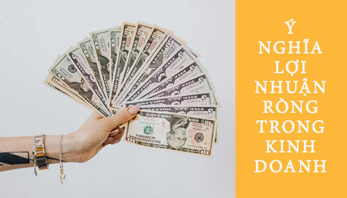 ý nghĩa lợi nhuận ròng