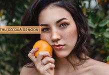 Mùa thu có quả gì đặc trưng: ăn ngon và tốt cho sức khỏe mùa thu có quả gì ngon