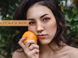 Mùa thu có quả gì đặc trưng: ăn ngon và tốt cho sức khỏe mùa thu có quả gì ngon