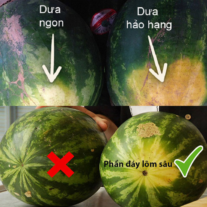 cách chọn dưa hấu ngon