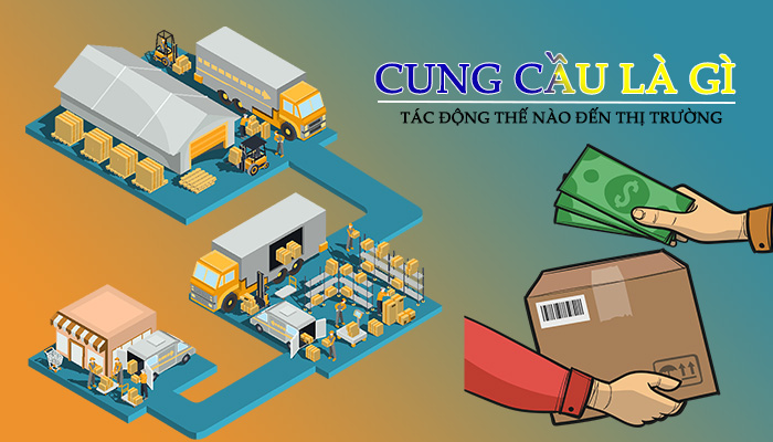 cung cầu là gì