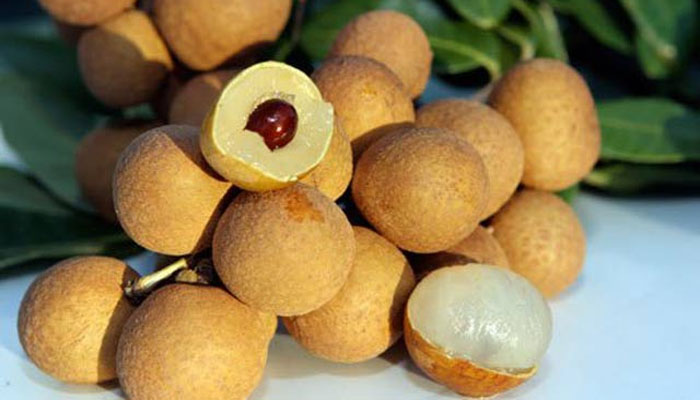 quả nhãn