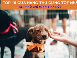 10 Cửa hàng thú cưng tốt nhất tại TPHCM và Hà Nội cửa hàng thú cưng tốt nhất