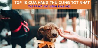 cửa hàng thú cưng tốt nhất