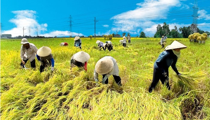 lợi thế so sánh các nước đang phát triển