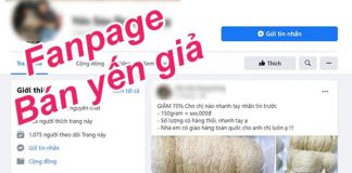 yến sào giả 500K