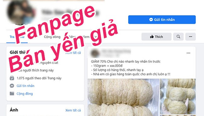 yến sào giả 500K