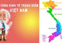 7 Vùng kinh tế trọng điểm của Việt Nam phân chia thế nào? 7 vùng kinh tế trọng điểm của Việt Nam
