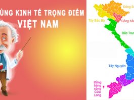 7 Vùng kinh tế trọng điểm của Việt Nam phân chia thế nào? 7 vùng kinh tế trọng điểm của Việt Nam