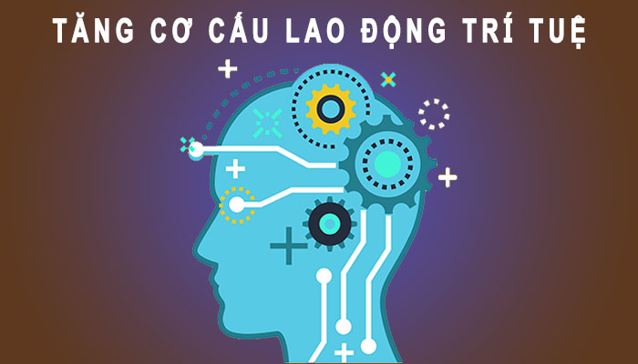cơ cấu lao động kinh tế tri thức