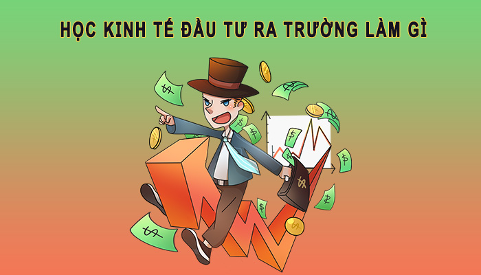Học kinh tế đầu tư ra trường làm gì