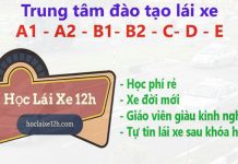 Học Lái Xe 12h – Chuyên đào tạo bằng lái xe chất lượng cao Học lái xe 12h