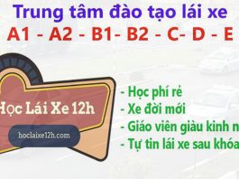 Học Lái Xe 12h – Chuyên đào tạo bằng lái xe chất lượng cao Học lái xe 12h