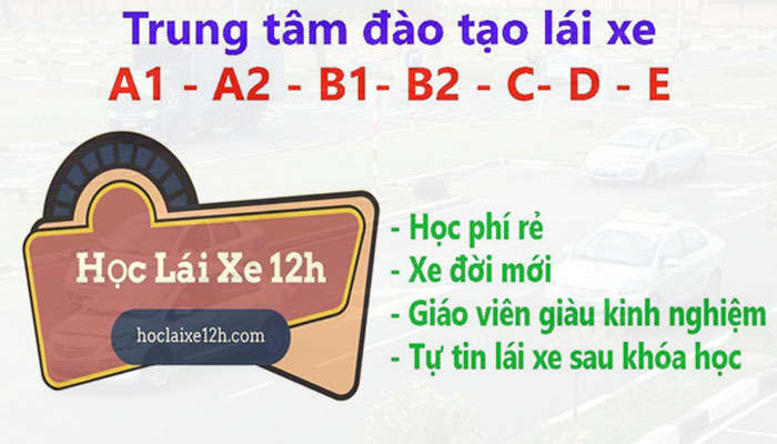 Học lái xe 12h