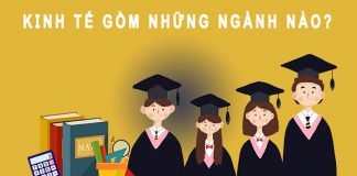 Kinh tế gồm những ngành nào
