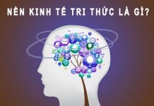 Kinh tế tri thức là gì? Vai trò của kinh tế tri thức tại Việt Nam kinh tế tri thức là gì