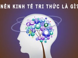 Kinh tế tri thức là gì? Vai trò của kinh tế tri thức tại Việt Nam kinh tế tri thức là gì