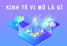 Kinh tế vi mô là gì