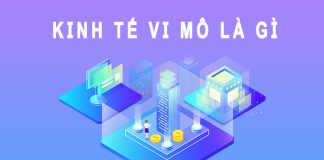 Kinh tế vi mô là gì