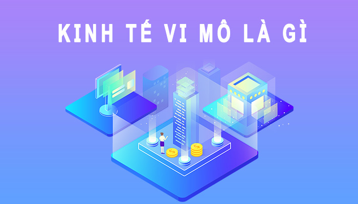 Kinh tế vi mô là gì