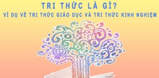 Tri thức là gì