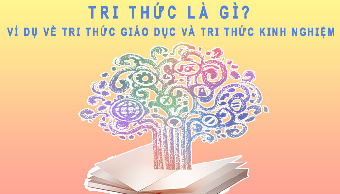 【Tri thức là gì】Ví dụ về tri thức giáo dục và tri thức kinh nghiệm