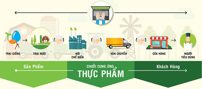 truy xuất nguồn gốc chuỗi cung ứng