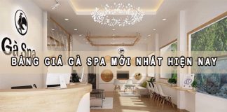Bảng giá gà Spa mới nhất hiện nay