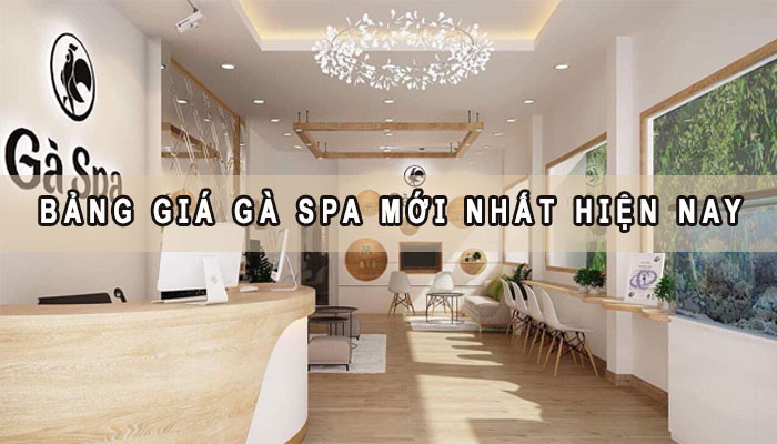 Bảng giá gà Spa mới nhất hiện nay