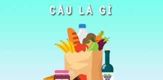 Cầu là gì