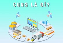 Cung là gì? 5 yếu tố tác động đến nguồn cung trong kinh tế vĩ mô cung là gì