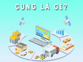 cung là gì