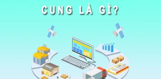 cung là gì