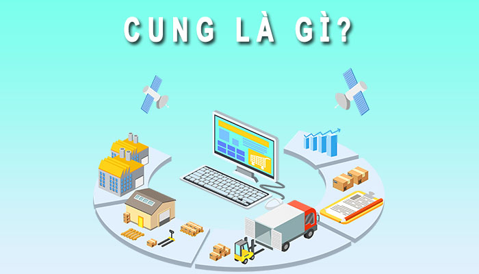 cung là gì