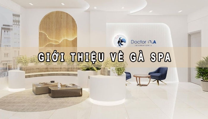 Giới thiệu về gà Spa