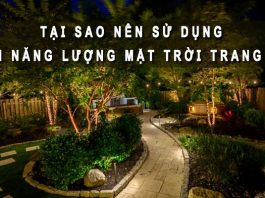 Tại sao nên sử dụng đèn năng lượng mặt trời trang trí Tại sao nên dùng đèn năng lượng mặt trời trang trí