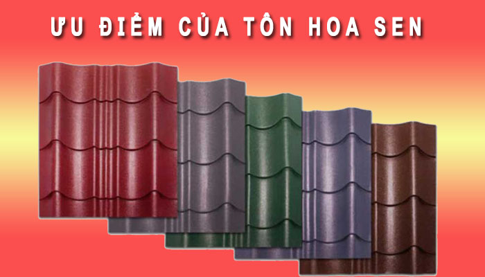 Ưu điểm tôn Hoa Sen