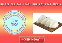 Bảng giá Yến sào Khánh Hòa: 9 kinh nghiệm phân biệt yến sào thật giả Bảng giá yến sào Khánh Hòa mới nhất hiện nay