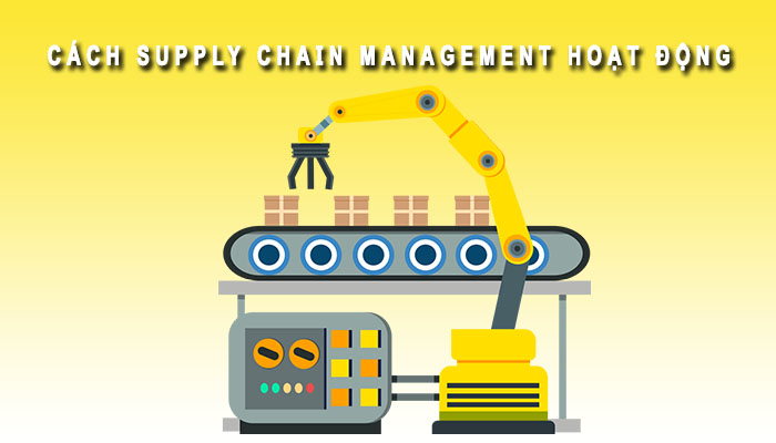 cách supply chain management hoạt động