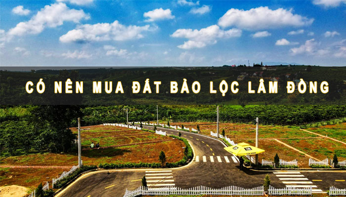 Có nên mua đất Bảo Lộc Lâm Đồng