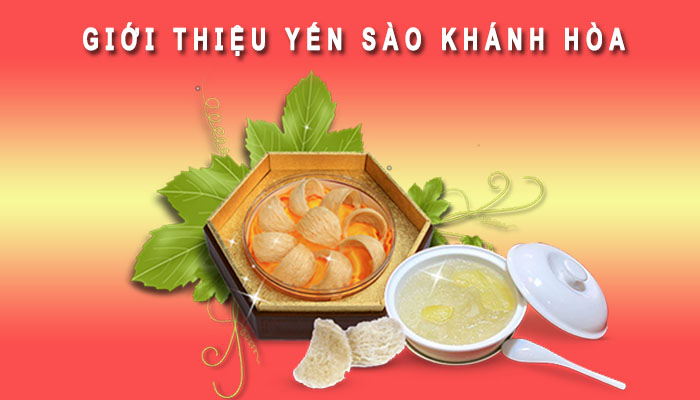 Giới thiệu yến sào Khánh Hòa