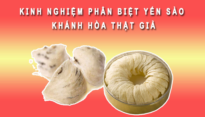 Kinh nghiệm phân biệt yến sào Khánh Hòa
