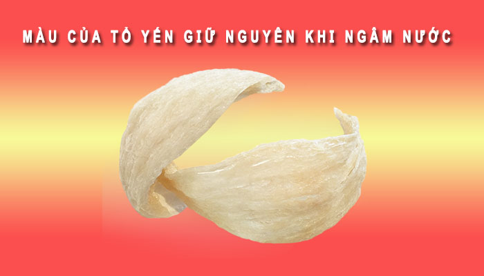 Màu yến sào thật