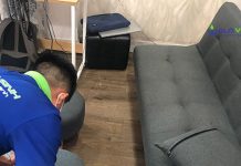 Giới thiệu 3 đơn vị vệ sinh ghế sofa giá rẻ uy tín tại thành phố Hồ Chí Minh Vệ sinh ghế Sofa giá rẻ