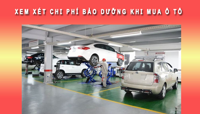 Xem xét chi phí bảo dưỡng