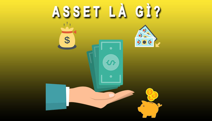 Asset là gì?