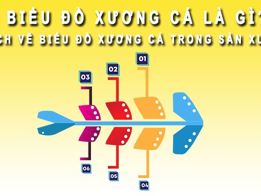 Biểu đồ xương cá là gì? Cách vẽ biểu đồ xương cá trong sản xuất Biểu đồ xương cá