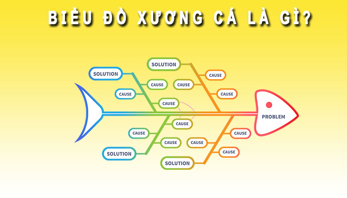 Biểu đồ xương cá là gì
