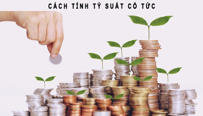 Cách tính tỷ suất cổ tức